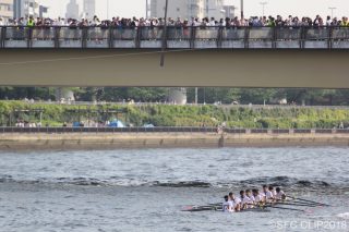 「第87回早慶レガッタ開催 2年連続で早稲田の完全優勝に」の画像