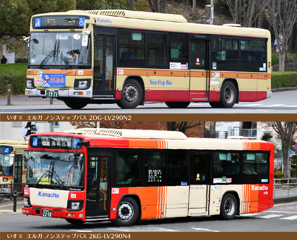 いすゞエルガ ノンステップバス